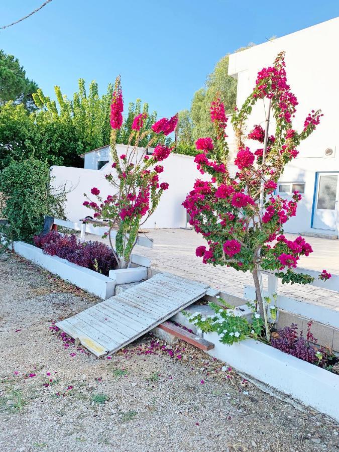 Apollonio Suites & Rooms Faliraki Rhodes エクステリア 写真